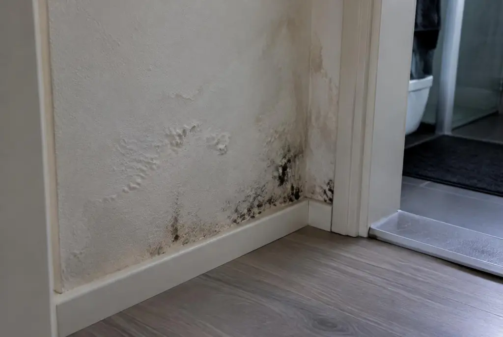Lekdetectie Utrecht – vochtplek met schimmel op een muur